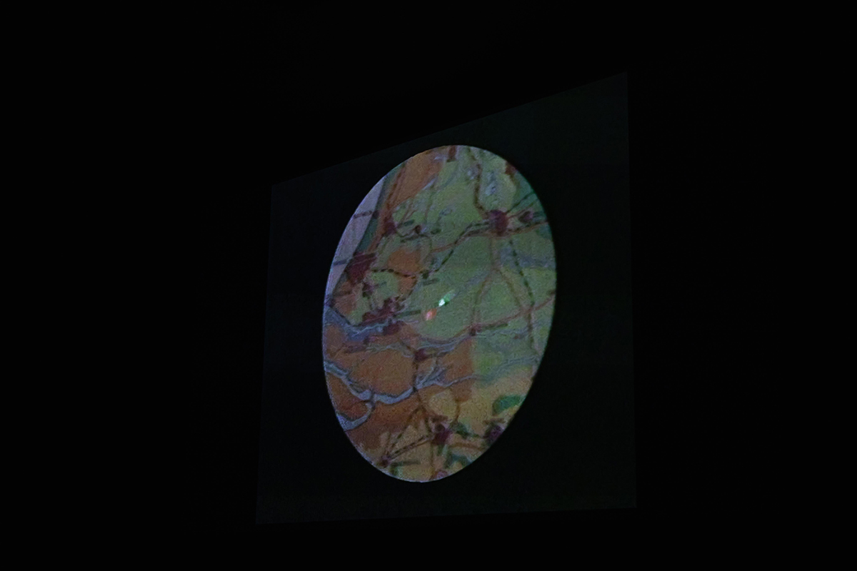 img-36